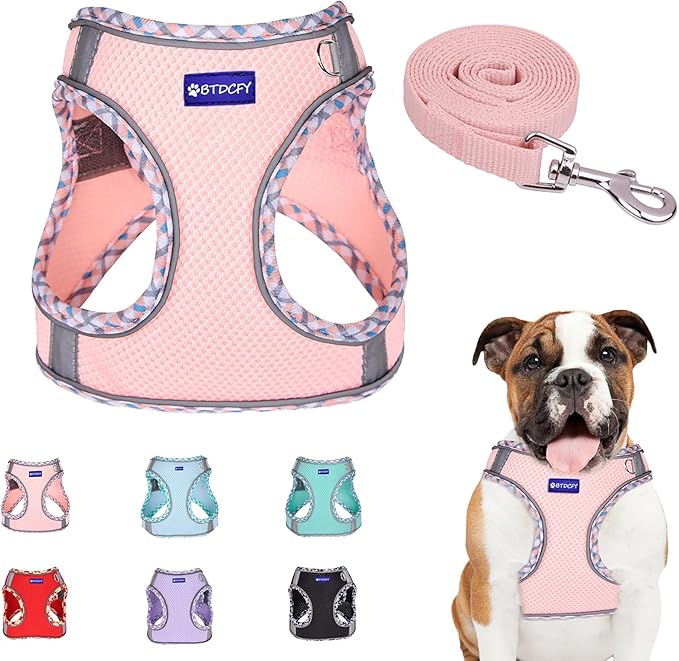 Step in Mesh Dog Harness and Leash Set - Breathable Air Mesh Reflective Escape Proof Vest - No Choke, Lightweight