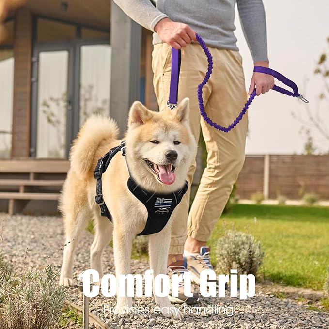 BUMBIN 6Ft Dog Leash - Large Dogs, Bungee Leash with 2 Handles, Heavy Duty, No Pull Shock Absorbing, Purple