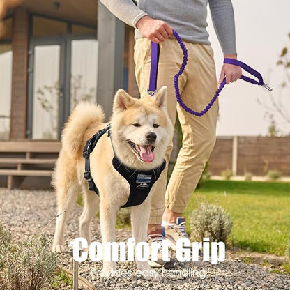 BUMBIN 6Ft Dog Leash - Large Dogs, Bungee Leash with 2 Handles, Heavy Duty, No Pull Shock Absorbing, Purple