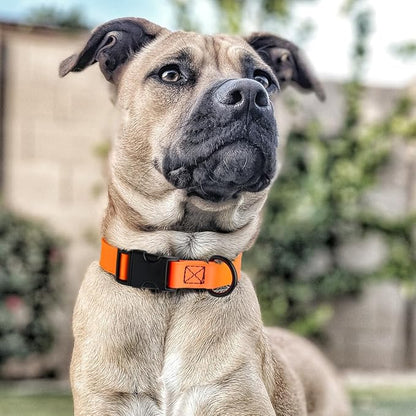 Dogline Biothane Waterproof Dog Collar with Quick Release Buckle Strong Coated Nylon Webbing with Odor- Proof for Easy Care Easy to Clean Fits Small Medium or Large Dogs, Orange 1" W 15-23" L