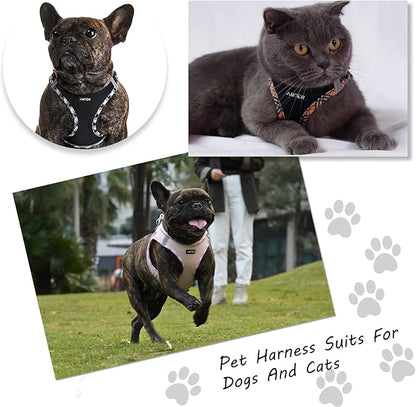 AMTOR Small Dog Harness with Leash Set, No Escape Easy Walk Puppy Harnesses for Training Walking, Step-in Reflective Soft Dogs Vest for XS S Medium Extra-Small Large Sized Dog(Pink,XL)