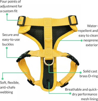 DJANGO Adventure Dog Harness - Stylish Small Dog Harness for Outdoor Adventures and Everyday Wear - Dandelion Yellow Neoprene Adjustable Harness for Dogs with Reflective Piping and Solid Brass D-Ring