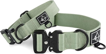 Made to ROAM Premium Dog Collar - Adjustable Heavy Duty Nylon Collar with Quick-Release Metal Buckle (Washington Rain, Classic Size 0)
