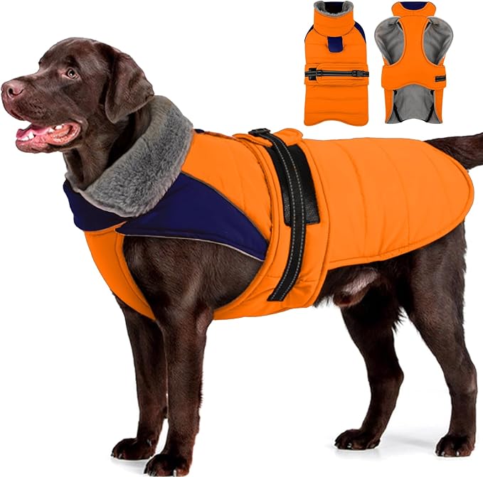 MIGOHI Snowproof Dog Coat - Thick Fleece Dog Jacket with Adjustable Collar, Keep Warm Winter Coat for Medium Dogs Cold Weather Walking Playing,Australian Shepherd,XL,Orange