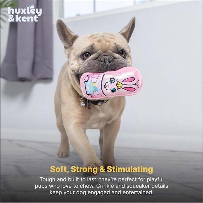 Huxley & Kent Funny Dog Toy w/Squeaker – Power Plush Squeaky Dog Toys for Small Dogs – Durable Small Stuffed Animal for Indoor Play & Fetch - Tiny Tuff Funny Bunnies, 2pk