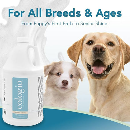Cologio Dog Shampoo with Manuka Honey, Moisturizing Dog Shampoo for Sensitive and Dry Itchy Skin, Shampoo for Dogs with Allergies and Dry Skin, Odor Eliminator, Paraben-Free, Made in USA 1 Gallon