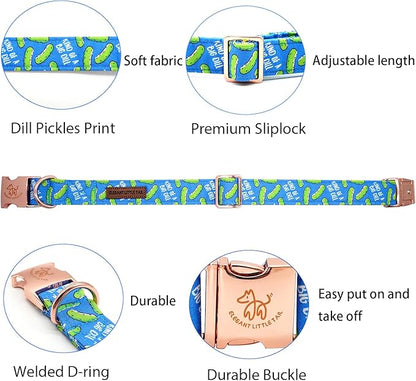 Elegant little tail Dog Collar, Blue Bear Pattern Pet Collar Durable Cute Dog Collars Male or Female Pet Gift Adjustable Dog Collar for Small Dogs