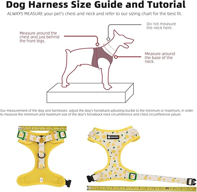Dog Harness and Leash Set, Adjustable Dog Harness, Dog Leash, No Pull No Choke Puppy Harnesses for Walking Training for Small Medium Pet