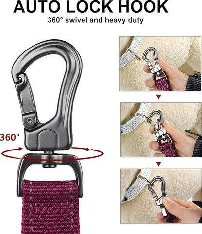 PetiFine 5FT Heavy Duty Dog Leash with Soft Padded Double Handle, Durable Strong Clasp Dog Leashes, Reflective Nylon Walking Lead for Large,Medium,Small Breed Dogs, Rose