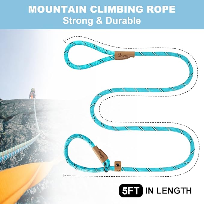 5 FT Slip Lead Dog Leash, Heavy Duty Rope Leash for Small Medium Large Dogs, No Pull Training Lead with Reflective Thread, Strong Comfortable Loop Leash (Teal Stripe, Large(1/2"))