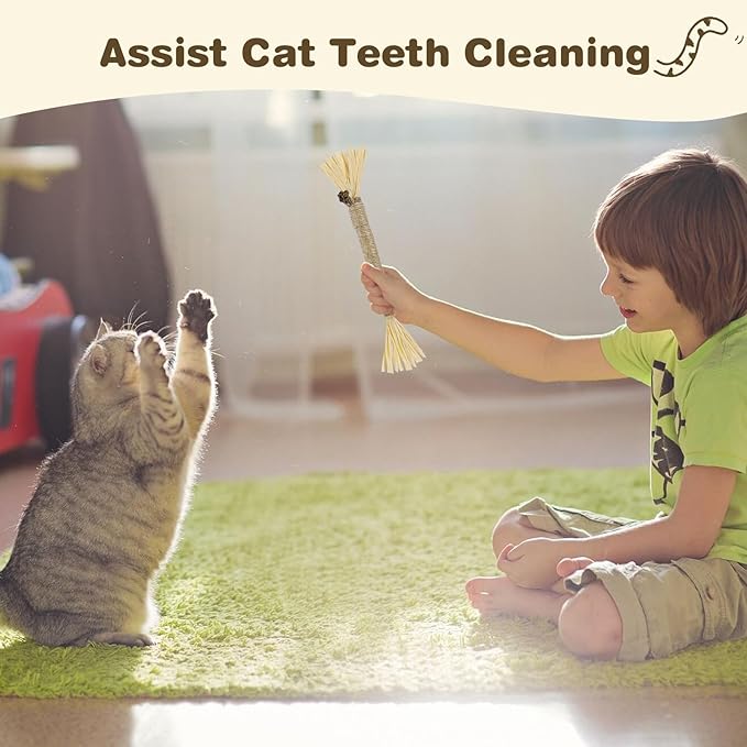 SINROBO 4 Pack Silvervine Sticks for Cats - Cat Chew Toy for Teeth Cleaning, Edible Matatabi Kitty Chew Sticks, Catnip Cat Toys for Indoor Cats (4 Sticks)