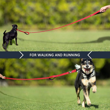 Plutus Pet Double Handle Dog Leash 4ft, Heavy Duty, Reflective Dual Handle Dog Leash for Safety Training, for Medium Large Dogs,2 Handle Leads(Red)