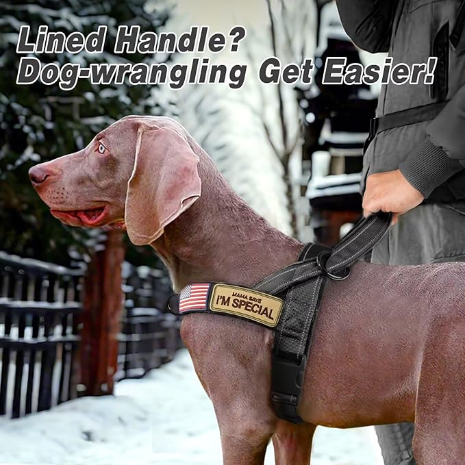 Forestpaw No Pull Dog Harness with Large Handle,Slip on Reflective Vest with Quick Release Buckle,Comfortable Flannel Lining for Medium Large Dogs Walking Training (Includes 3 Patches),Black M