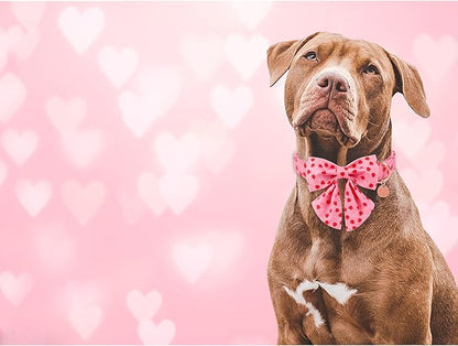 UP URARA PUP Valentine Dog Collar with Bow Tie, XL, Cotton Collar with Durable Metal Buckle, Red Heart, Neck 16-26in