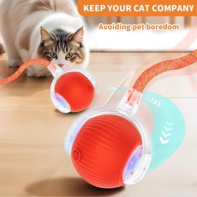 MAXTOOA Interactive Cat Toys for Indoor Cats Smart Automatic Ball Rolling for Bored Kitten Pet Upgraded Speedy Moving Chase Dogs Toy Red Dragonfly