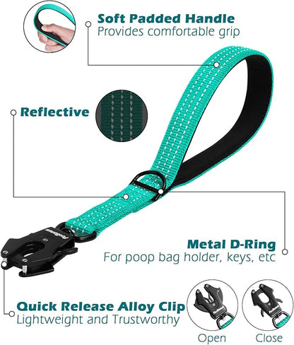 PetBonus Heavy Duty Short Dog Leash, 12 Inch Nylon Traffic Leash with Quick Release Clip, Comfortable Padded Handle, Reflective Training Lead for Medium Large Dogs (Turquoise, 12")