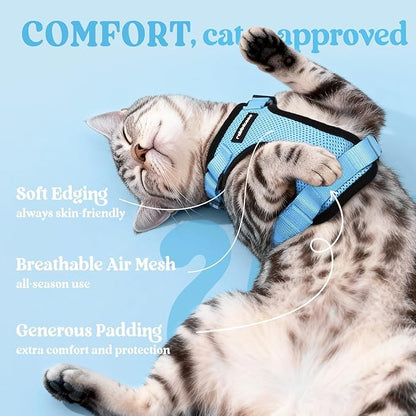 rabbitgoo Cat Harness and Leash for Walking, Escape Proof Soft Adjustable Vest Harnesses for Cats, Easy Control Breathable Reflective Strips Jacket, Light Blue, S