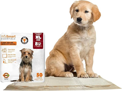 WizSmart Essentials Pads XL – Extra Large Dog Pads 23.5" x 35.4", Disposable Absorbent Pads for Large Dogs, Puppies, Senior Dogs, Incontinence, Urine, Water, Potty Training, Home, Travel - 50 Count