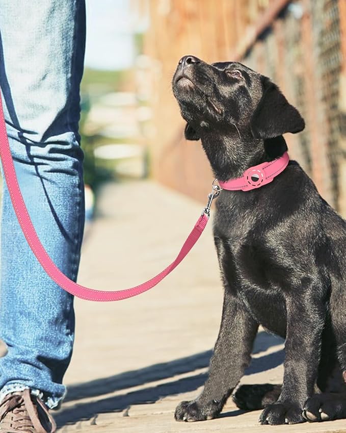 6FT Reflective Nylon Dog Leash with Soft Padded Handle for Walking, Running and Training, Supports Small Medium and Large Dogs (Neon Pink, 3/4Inch Wide)