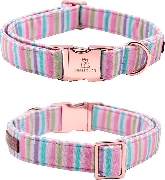 Lionheart glory Easter Dog Collar Colorful Collar for Large Dog Collars Spring Female or Male Pet Gift Adjustable Heavy-Duty Pet Collar Holiday