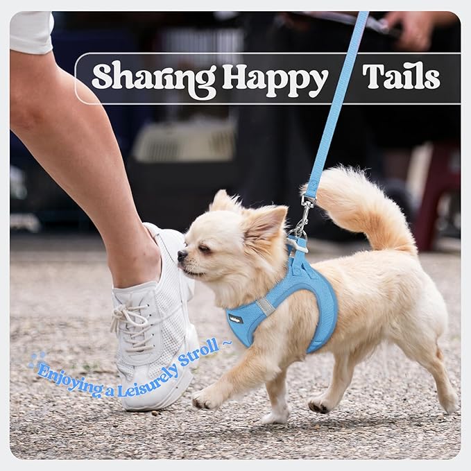 rabbitgoo Dog Harness Small Sized and Leash Set, Step in Soft Light Puppy Vest, Breathable Mesh Pet Harness, Reflective for Safe Easy Walking, Blue M