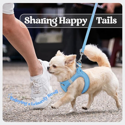 rabbitgoo Dog Harness Small Sized and Leash Set, Step in Soft Light Puppy Vest, Breathable Mesh Pet Harness, Reflective for Safe Easy Walking, Blue M