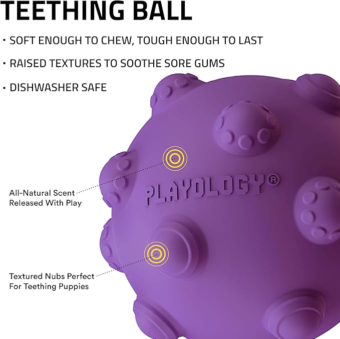 Playology Puppy Teething Ball Dog Toy for Young & Active Dogs | Engaging All-Natural Bacon Scented Chew Toy for Puppies
