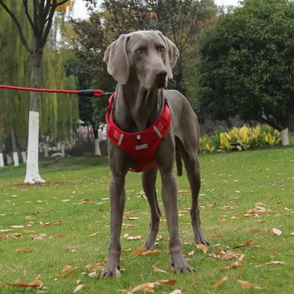 Dog Harness No Pull Adjustable Reflective,for Medium and Large Small Dog with Leash 59.06in (Red, L)