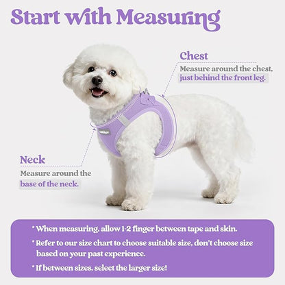 rabbitgoo Dog Harness Small Sized and Leash Set, Step in Soft Light Puppy Vest, Breathable Mesh Pet Harness, Reflective for Safe Easy Walking, Light Purple XXXS