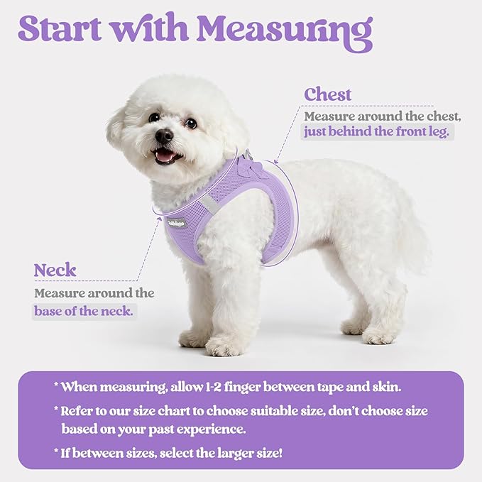 rabbitgoo Dog Harness Small Sized and Leash Set, Step in Soft Light Puppy Vest, Breathable Mesh Pet Harness, Reflective for Safe Easy Walking, Light Purple XS