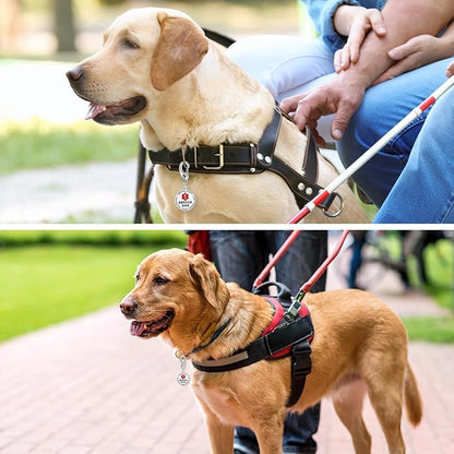 Leash King Service Dog Tag/ESA Animal Tag - Double Sided with Federal Protection & Red Medical Alert Symbol| Easily Attach to Collar, Harness, Vest | Service Dog Identification Tag