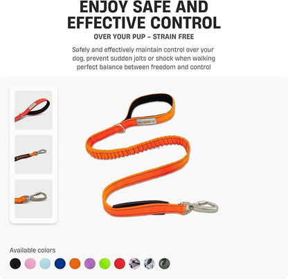 DF Co. Bungee Dog Leash | Strain Free & Shock Resistant for Control | Neoprene Padded Handle, Heavy-Duty Carabiner Clip, and D-Ring | Pink, Size Regular