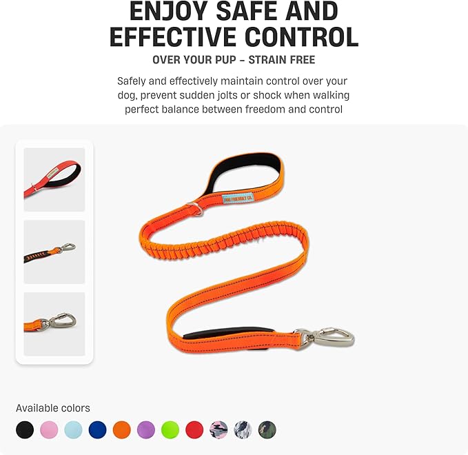 DF Co. Bungee Dog Leash | Strain Free & Shock Resistant for Control | Neoprene Padded Handle, Heavy-Duty Carabiner Clip, and D-Ring | Sky Blue, Size Regular