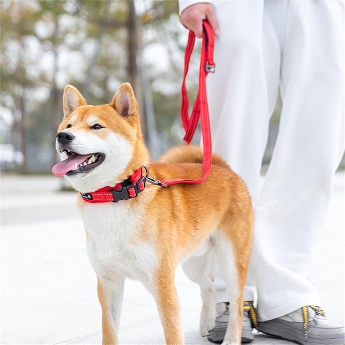EXCELLENT ELITE SPANKER Reflective Dog Collar Classic Soft Padded Breathable Nylon Adjustable Pet Collar with Quick Release Buckle for Boy Girl Male Female Small Medium Large Dogs Training(Purple-XL,)