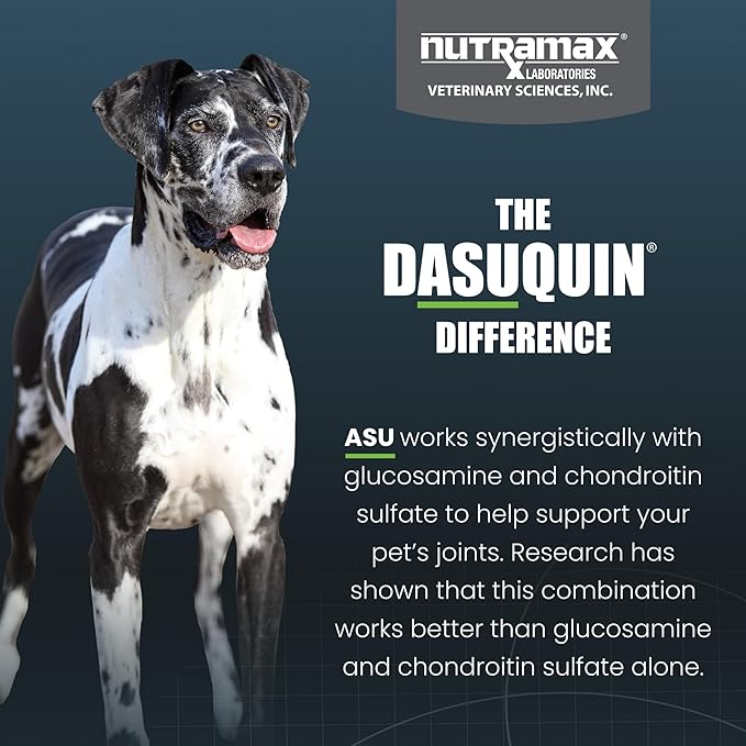 Nutramax Dasuquin for Large Dogs, Joint Health Supplement, Contains Glucosamine for Dogs, Plus Chondroitin, ASU, MSM and More, Supports Healthy Joints, Soft Chews, 42 Count