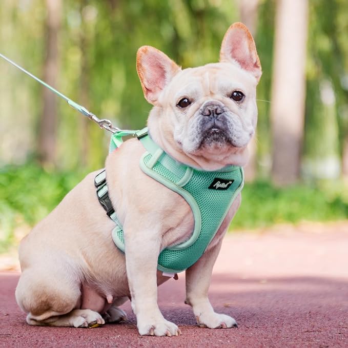 PUPTECK Small Dog Harness and Leash Set, No Pull Adjustable Puppy Cat Harness, Reflective Soft Mesh Pet Vest Small Sized, Green, XS