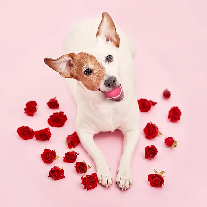 Playology Dog Toys | Squeaky Chew Ball - Bouncy Durable Floating Fetch Ball for Dogs, Value 3-Pack | Small Red Velvet Cake Limited Edition Valentine's Toy - Made from Non Toxic Materials