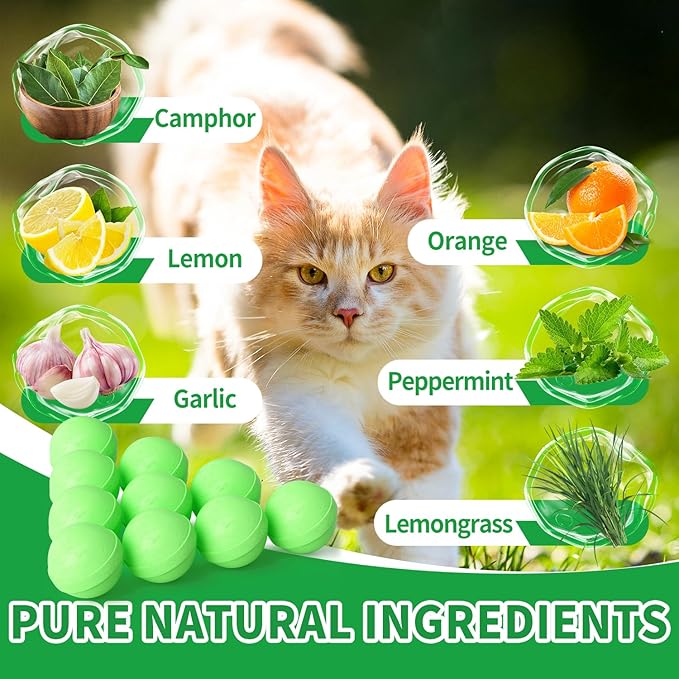 Ponal Cat Deterrent Outdoor, Natural Peppermint Oil Cat Repellent Outdoor Indoor, Mulch & Flower Permanently Against Scratch and Chew, Keep Cats Off Lawn, Yard, Garden, Keep Cats Away, 10 Pack