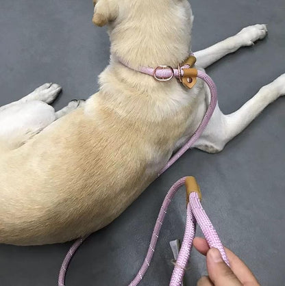 Reflective Slip Leads for Dogs 6FT, Slip Lead Dog Leash, Slip On Training Leash