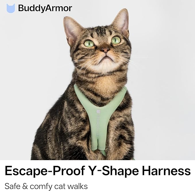 BuddyArmor Escape Proof Y Shape Cat Harness Anti-Choke Buckle Adjustable Comfortable Padded Cat Vest Harness Anti Escape Cat Rope Harness for Kitten Small Medium Large Cats (Olive, S)
