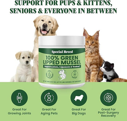 Green Lipped Mussel Powder for Dogs & Cats - 100% New Zealand Green Lipped Mussels - Natural Hip & Joint Supplement for Joints, Tendons, Ligaments, Muscles - 800 Grams (Pack of 2)