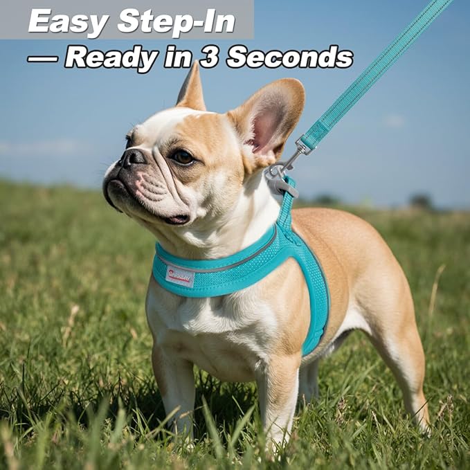 Dog Harness and Leash Set,Step in Small Sized Dog Harness,Soft Mesh,No-Chock,Reflective Adjustable,Secure with Hook & Loop Fastener,Puppy Vest for Small,Medium Dogs(Ocean Blue,L)