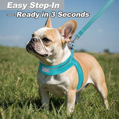 Dog Harness and Leash Set,Step in Small Sized Dog Harness,Soft Mesh,No-Chock,Reflective Adjustable,Secure with Hook & Loop Fastener,Puppy Vest for Small,Medium Dogs(Ocean Blue,S)