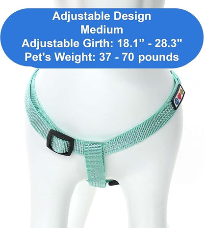 Pawtitas Reflective Step-in Dog Harness – Adjustable No-Pull Vest for Puppies to Seniors, Safe & Comfortable, M Teal