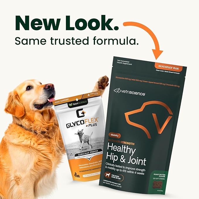 VetriScience Ultimate Strength Hip & Joint Supplement for Dogs, GlycoFlex Plus – MSM, Chondroitin & Green-Lipped Mussel Chews for Mobility, Flexibility, Comfort & Support, Peanut Butter Flavor 120 Cnt