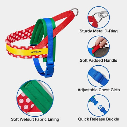 VETRESKA MoMA Dog Harness and Leash Set, Easy Walk Dog Harness for Large Dogs, No Pull Puppy Harness for Walking and Training, Adjustable, Take Control & Anti-Twist Pet Lead Combo(Red, L)