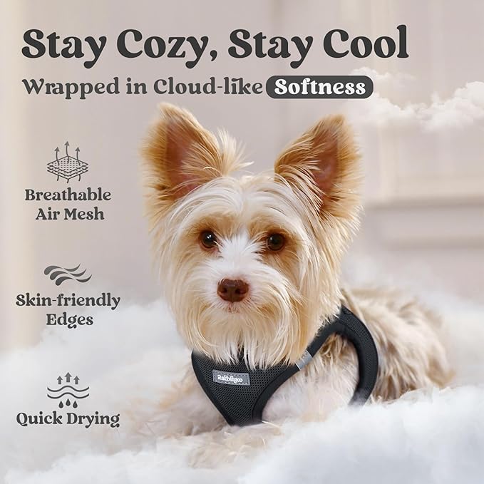 rabbitgoo Small Dog Harness, Step-in Soft Mesh Puppy Vest with Safety Buckle, Breathable Reflective Pet Harness for Small Sized Dogs, Black XS