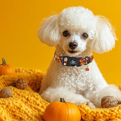 Elegant little tail Halloween Dog Collar, Pumpkin with Maple Leaf Print Fall Pet Collars Cotton Soft Sturdy Puppy Collars Holiday Female Adjustable Collar for Large Dogs