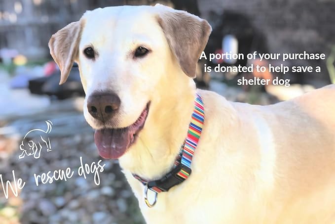 Lucky Love Dog Leash, Rainbow Pattern Hippie Dog Leash, Medium Dog Leash, Durable & Long Lasting (Hippie, Large)