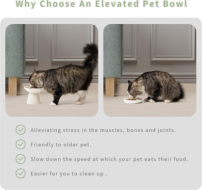 CEEFU 2 Elevated Ceramic Cat Bowls Extra Wide for Food & Water – Whisker Fatigue Shallow Food Dish, Lead & Cadmium-Free, Raised Height for Cats and Dogs, Two Different Depth Bowls, White